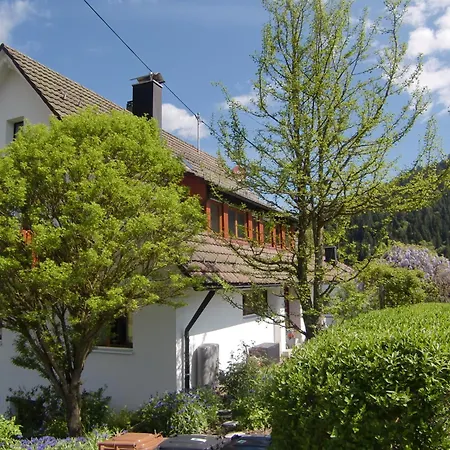 Charmante Mit Terrasse Und Tollem Ausblick Apartment Baiersbronn